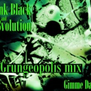 Gimme Danger (Ne Grungeopolis Mix) - Single