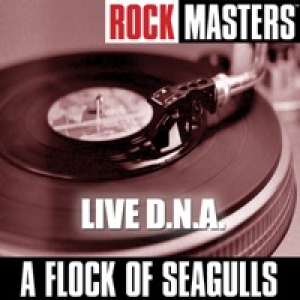 Rock Masters: Live D.N.A.