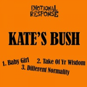 Kate's Bush (feat. Stewart Anderson & John Stanley) - Single