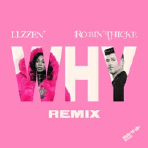 Why (Remix) - Single