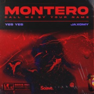 MONTERO (Call Me By Your Name) - Single
