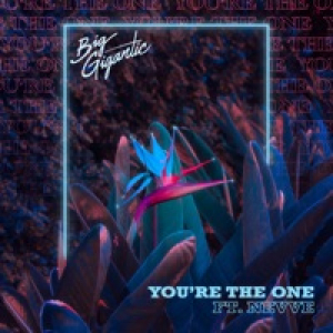 You’re the One (feat. Nevve) - Single