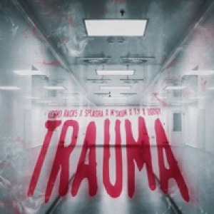 Trauma (feat. Splasha & M'skum) - Single