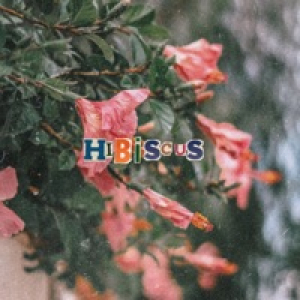 Hibiscus - Single