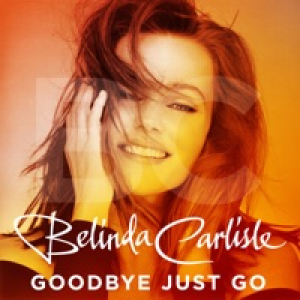 Goodbye Just Go - Single