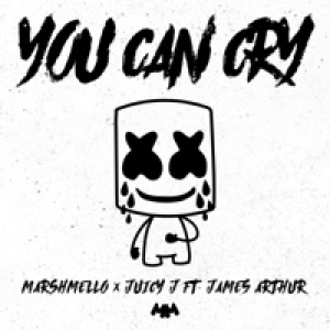 You Can Cry (feat. James Arthur) - Single