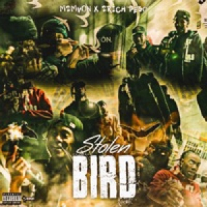 Stolen Bird (feat. 2Rich Peso) - Single
