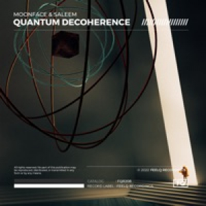 Quantum Decoherence - Single