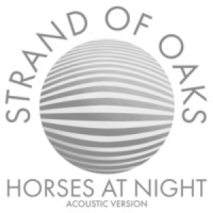 Horses at Night (Acoustic) - Single