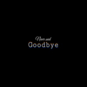Never Said Goodbye - Single