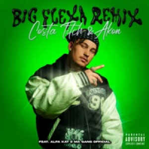 Big Flexa (feat. Ma Gang Official & Alfa Kat) [Remix] - Single