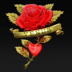 Venus (Boys Noize Rework) - Single
