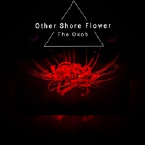 Other Shore Flower (feat. Grey Daze) - Single