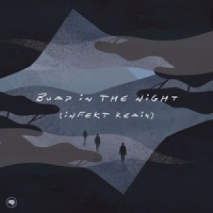 Bump in the Night (Infekt Remix) - Single