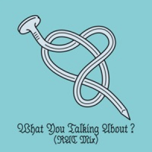 What You Talking About? (RAC Mix) - Single