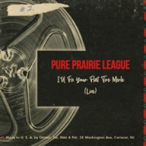 I'll Fix Your Flat Tire Merle (Live) - Single