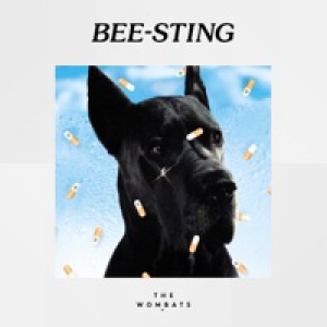 Bee-Sting - Single