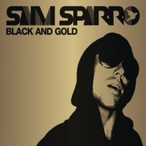 Black & Gold - Single