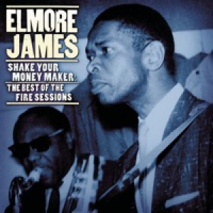 Shake Your Money Maker: The Best of the Fire Sessions (1960-1961)