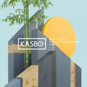 The Little Things (feat. Angela McCluskey) [Kasbo Remix] - Single