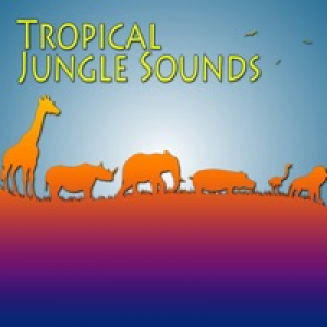 Tropical Jungle Sounds