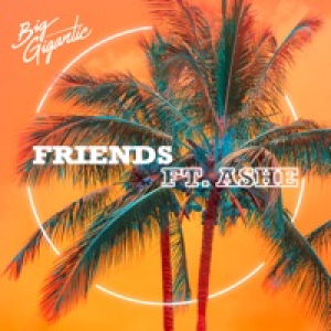Friends (feat. Ashe) - Single