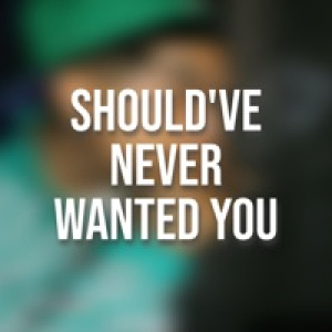 Should've Never Wanted You - Single