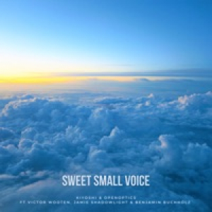 Sweet Small Voice (feat. Victor Wooten & Jamie Shadowlight & Benjamin Buchholz) - Single