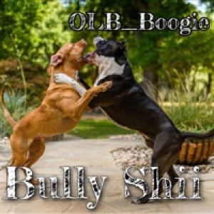 Bully Shii (Special Version) - Single