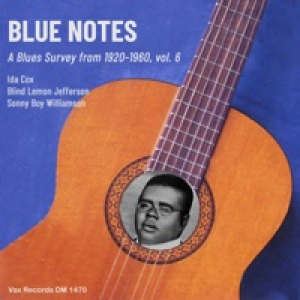 Blue Notes – A Blues Survey from 1920-1960, vol. 6 - Single
