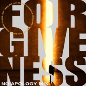 Forgiveness (No Apology Mix) [feat. Gordon Chambers & Paula Cole] - Single