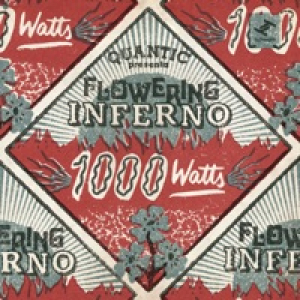 1000 Watts (Quantic Presenta Flowering Inferno)