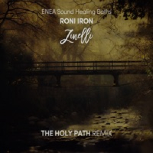 The Holy Path (Remix) [feat. Meditelectro] - Single