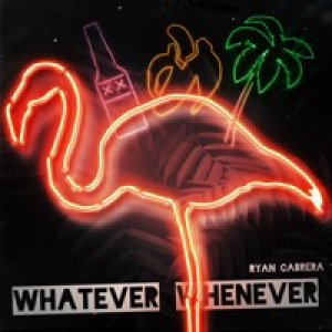 Whatever Whenever - Single