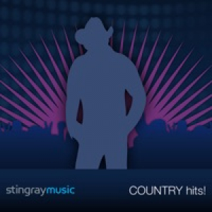 Never Wanted Nothing More (In the Style of Kenny Chesney) [Performance Track with Demonstration Vocals] - Single