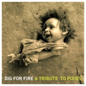 Dig for Fire - A Tribute to Pixies