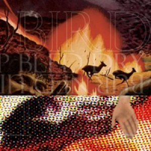 Deadbird / Burned Up Bled Dry - Split - EP