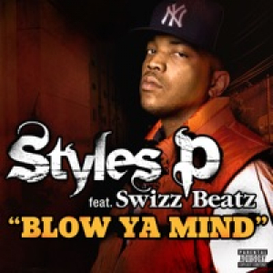 Blow Ya Mind (feat. Swizz Beatz) - Single