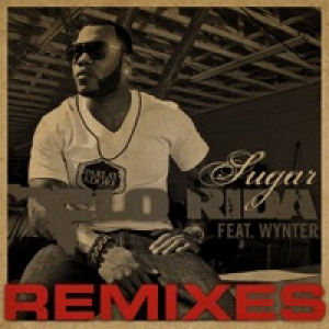 Sugar Remixes (feat. Wynter)