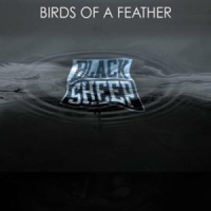 Birds of a Feather (feat. Q-Tip, Trugoy the Dove & Mike G) - Single