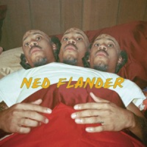 NY (Ned Flander) [feat. Hodgy Beats & Tyler, the Creator] - Single