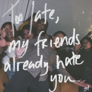 Too Late, My Friends Already Hate You - EP