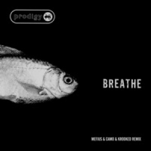 Breathe (Mefjus & Camo & Krooked Remix) - Single
