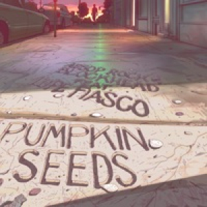 Pumpkin Seeds - Single