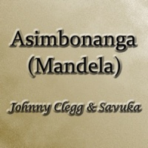 Asimbonanga (Mandela) - Single