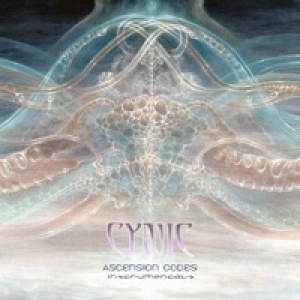 Ascension Codes (Instrumentals)