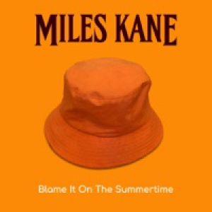 Blame It On the Summertime - Single