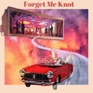 Forget Me Knot - Single