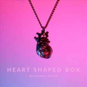 Heart Shaped Box - Single
