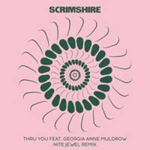 Thru You (feat. Georgia Anne Muldrow & Nite Jewel) [Nite Jewel Remix] - Single
